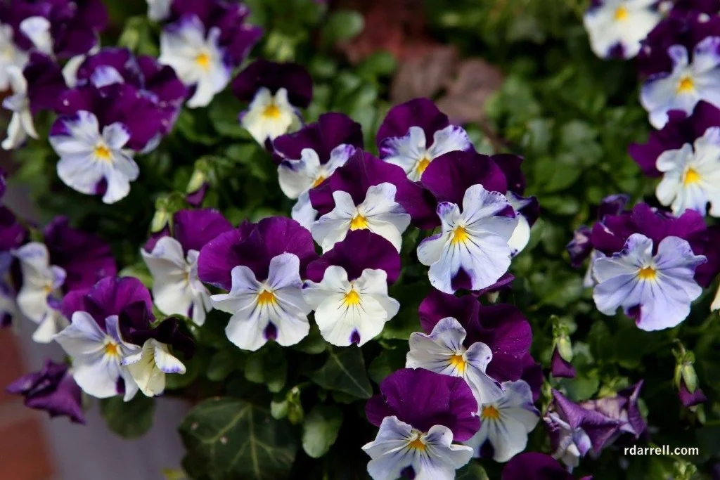 12440647_10205728214064217_592405211432764734_o