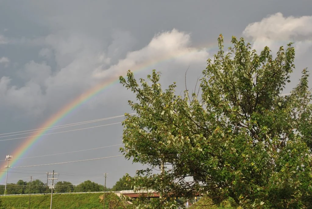 DSC_0110 (1)