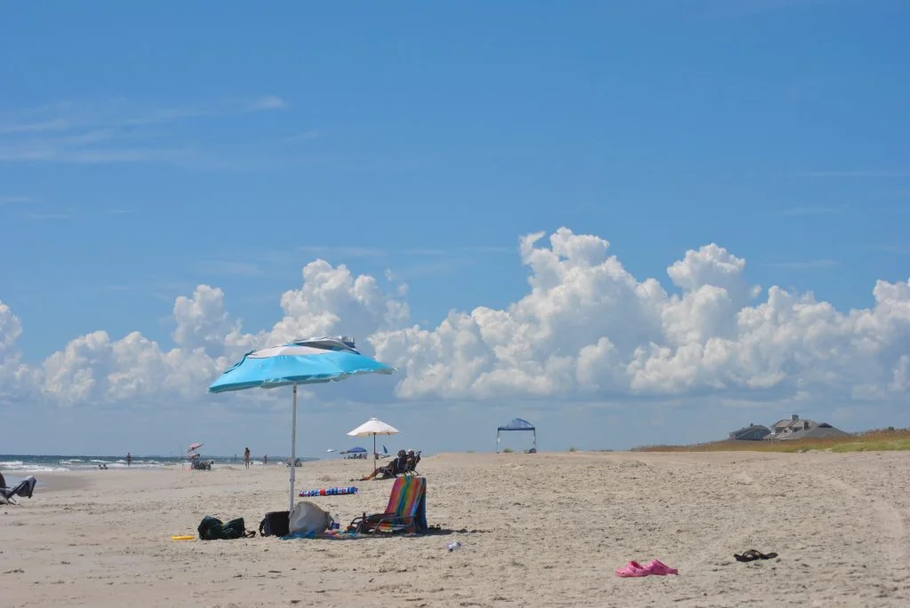 DSC_0199 (1)