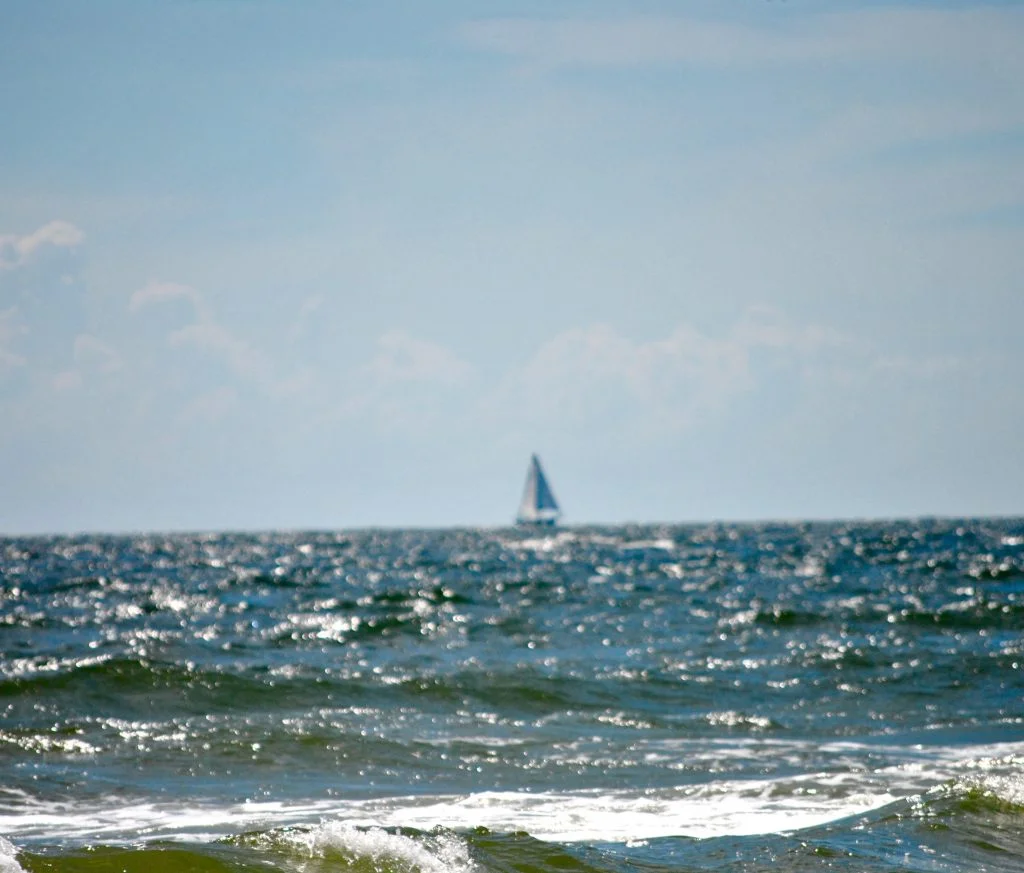 DSC_0200 (1)