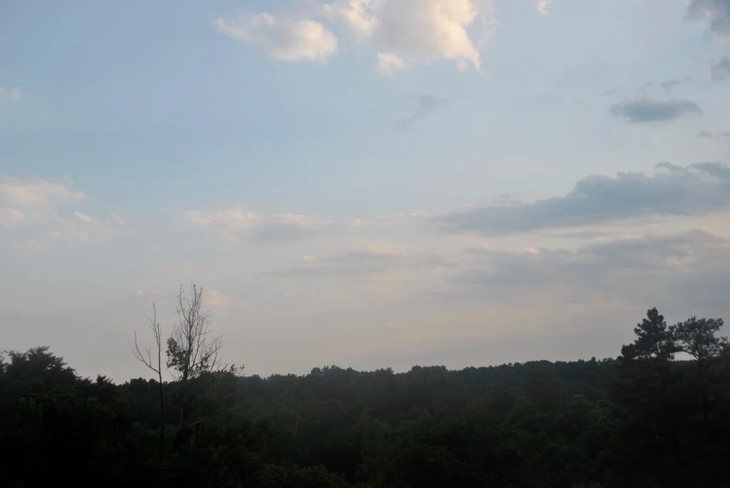 DSC_0522 (1)