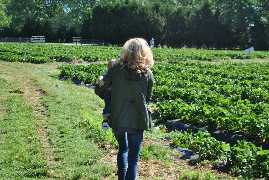 DSC_0553 (1)
