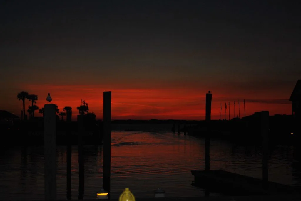DSC_0631 (1)