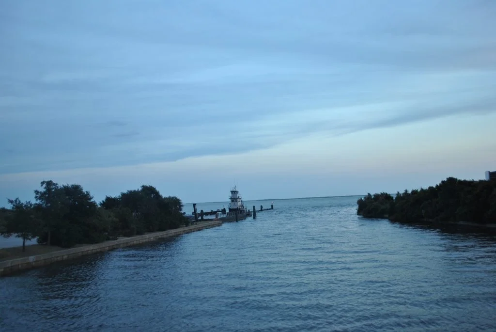 DSC_0981 (1)